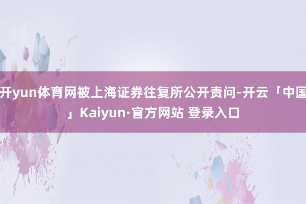开yun体育网被上海证券往复所公开责问-开云「中国」Kaiyun·官方网站 登录入口