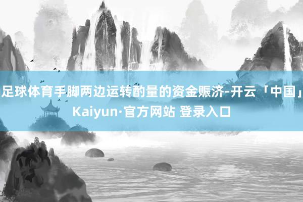足球体育手脚两边运转酌量的资金赈济-开云「中国」Kaiyun·官方网站 登录入口