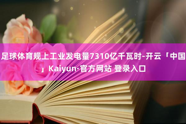 足球体育规上工业发电量7310亿千瓦时-开云「中国」Kaiyun·官方网站 登录入口