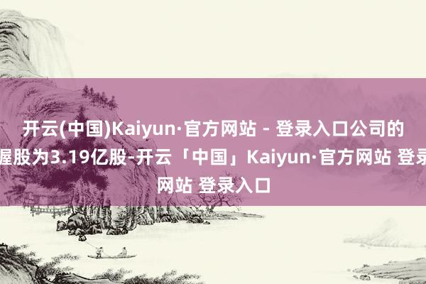 开云(中国)Kaiyun·官方网站 - 登录入口公司的公众握股为3.19亿股-开云「中国」Kaiyun·官方网站 登录入口