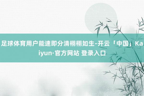 足球体育用户能速即分清栩栩如生-开云「中国」Kaiyun·官方网站 登录入口
