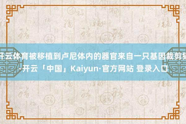 开云体育被移植到卢尼体内的器官来自一只基因裁剪猪-开云「中国」Kaiyun·官方网站 登录入口